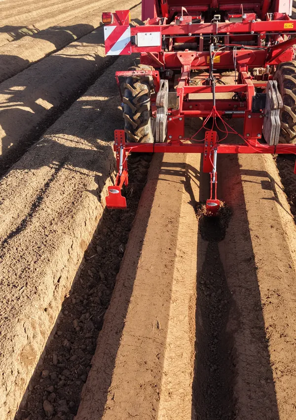 ErofiX — anti-erosion system for potato plantations, drone view